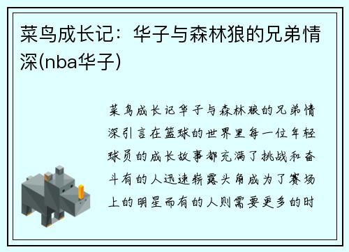 菜鸟成长记：华子与森林狼的兄弟情深(nba华子)