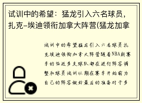 试训中的希望：猛龙引入六名球员，扎克-埃迪领衔加拿大阵营(猛龙加拿大球队为什么能打nba)